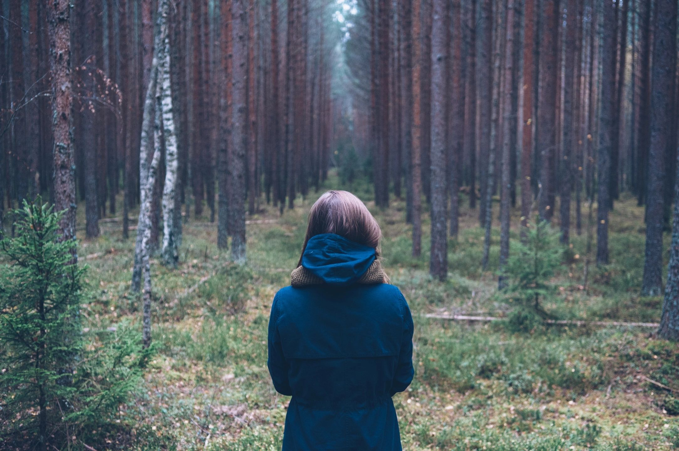 floatback, memories, therapists resources